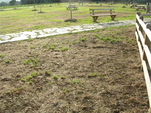 Área Recreativa de Salías
